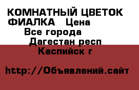 КОМНАТНЫЙ ЦВЕТОК -ФИАЛКА › Цена ­ 1 500 - Все города  »    . Дагестан респ.,Каспийск г.